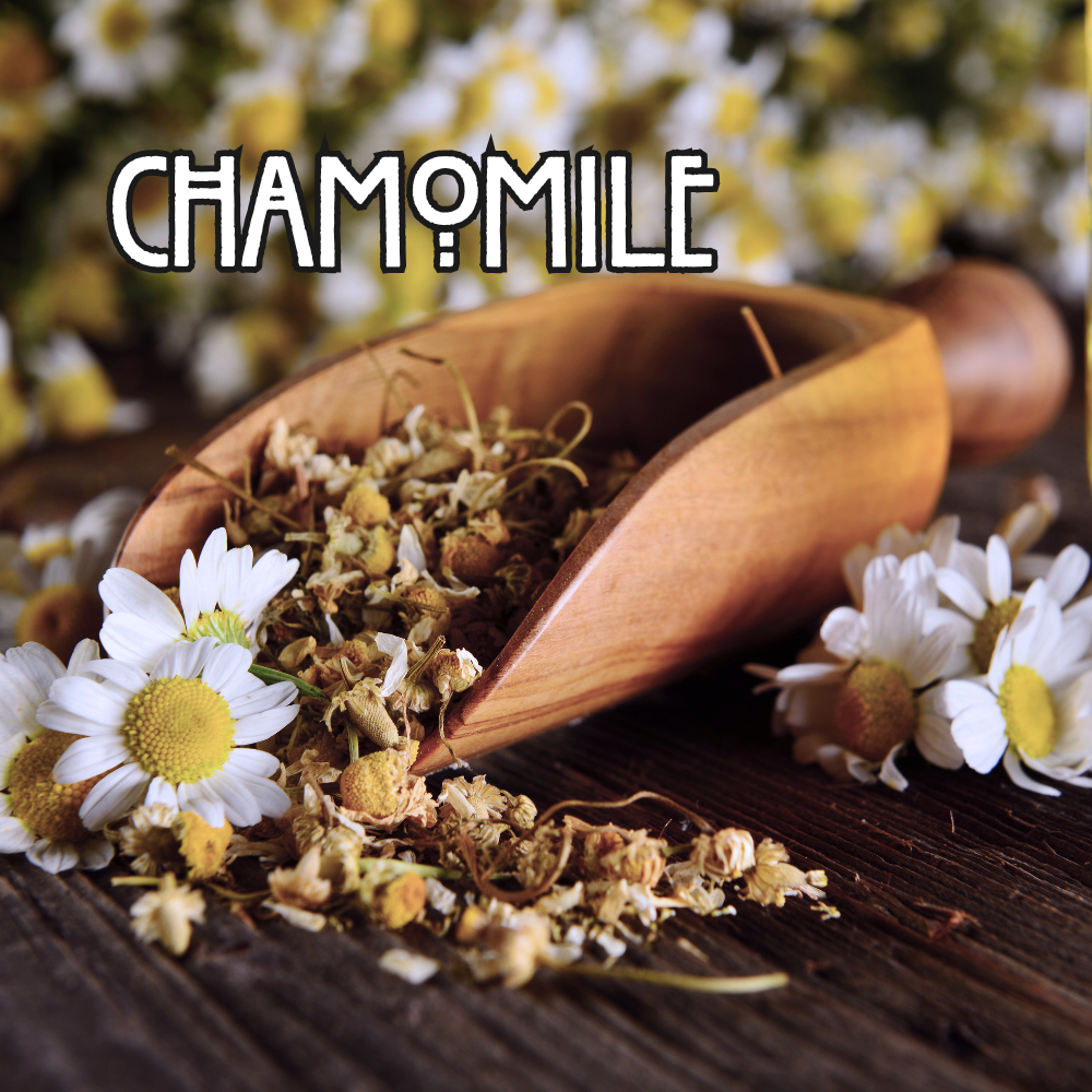 Organic Chamomile Flowers