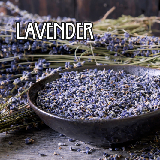 Organic Lavender Buds