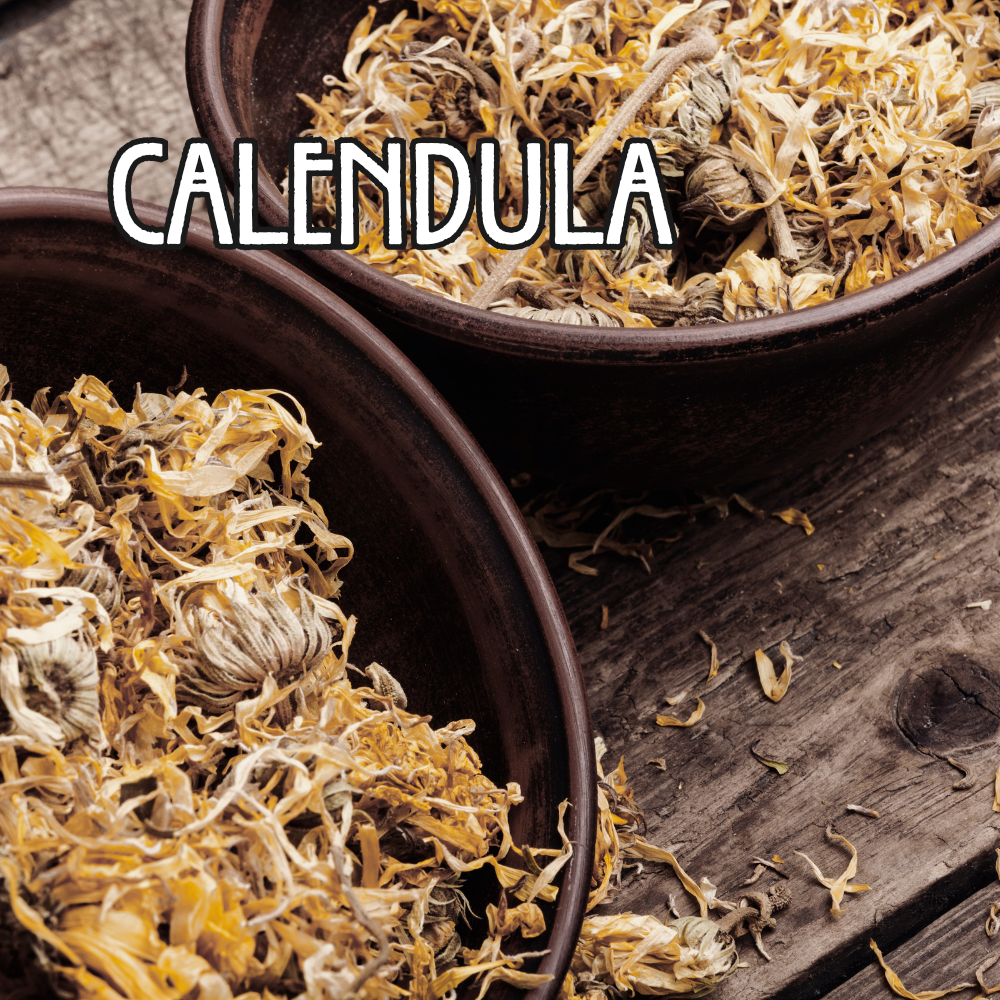 Organic Calendula - by the ounce