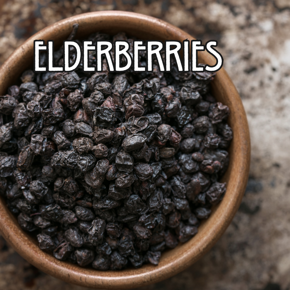 Organic Dried Elderberries - by the Ounce