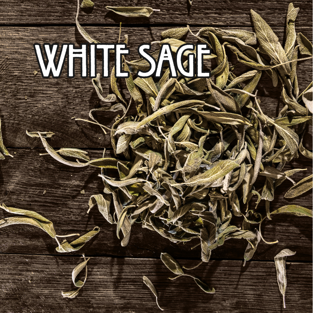Organic White Sage - by the Ounce