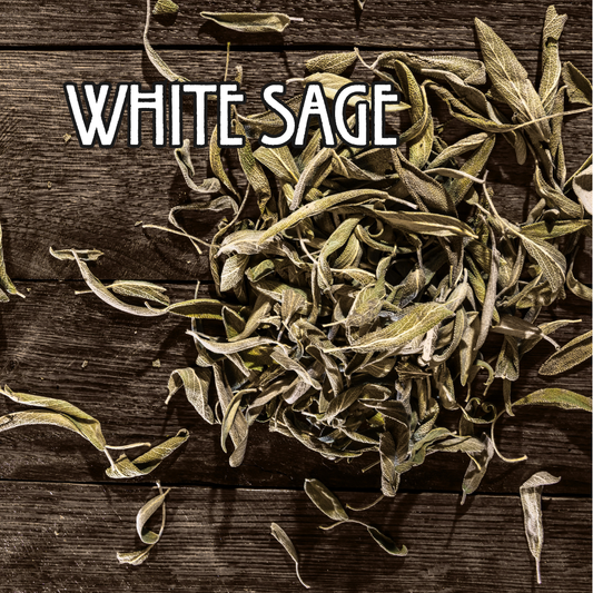 Organic White Sage - by the Ounce