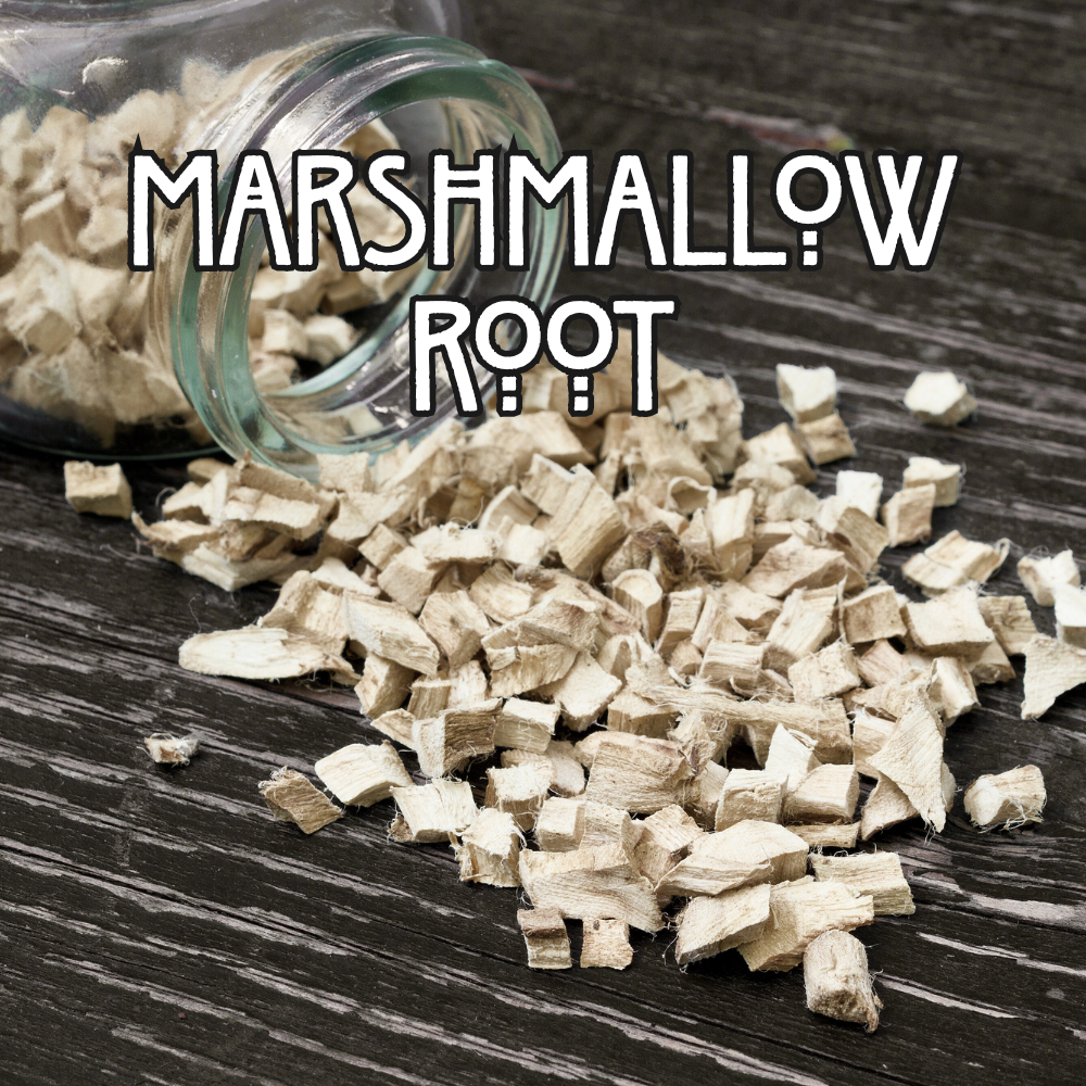 Organic Marshmallow Root - by the Ounce