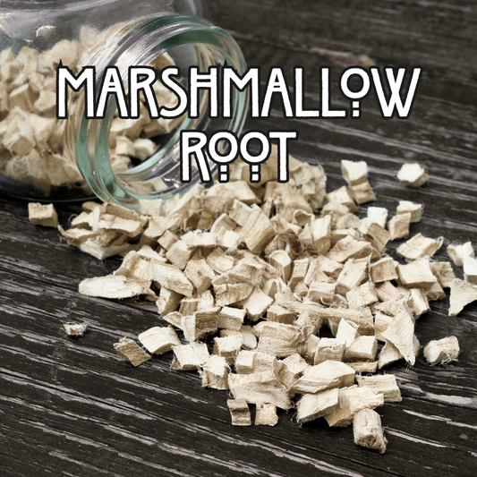 Organic Marshmallow Root - by the Ounce