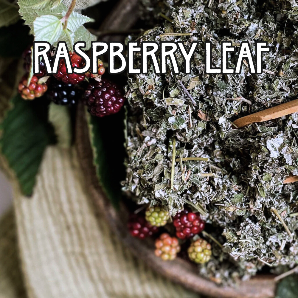 Organic Raspberry Leaf by the Ounce