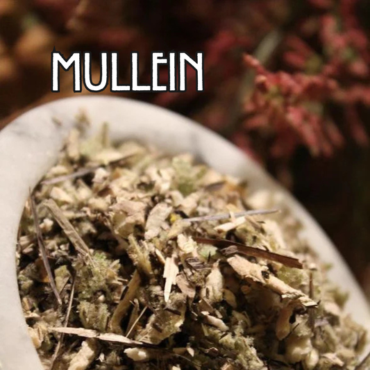 Organic Mullein Leaf - by the Ounce