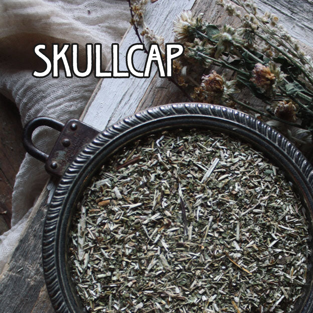 Organic Skullcap - by the Ounce